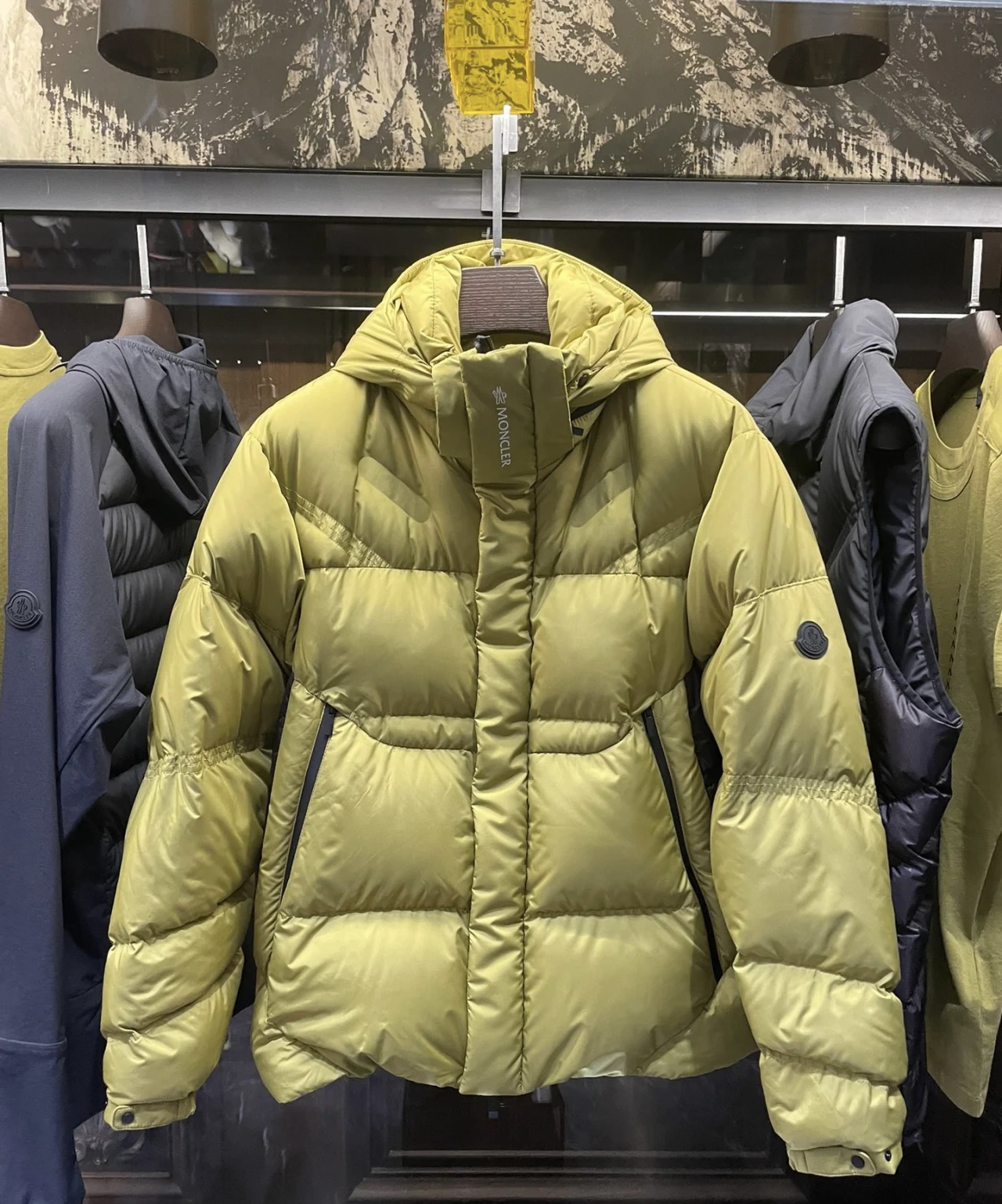 Moncler Down Jackets